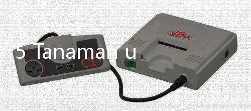 5 Tanaman untuk Kesehatan Paru