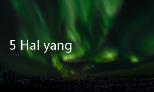 5 Hal yang Wajib Diperhatikan Sebelum Memilih Asuransi Mobil