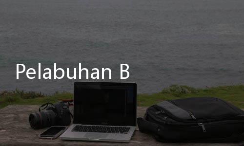 Pelabuhan Buana Reja Resmi Kelola Terminal Satui, Investasi Capai Rp463 Miliar
