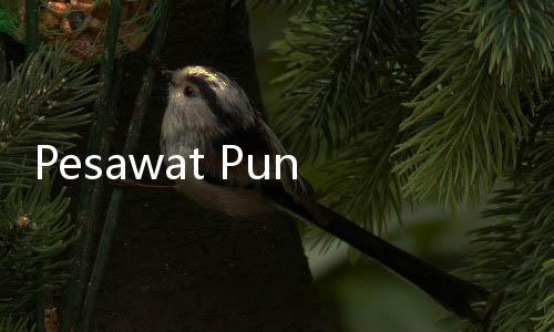 Pesawat Punya Ruang 'Rahasia', Gunanya untuk Pramugari dan Pilot Tidur